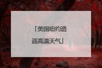 美国纽约遭遇高温天气