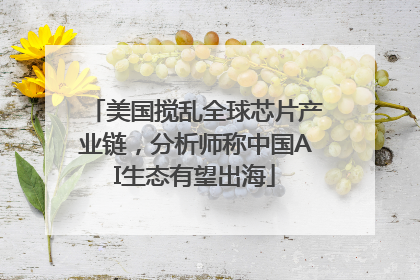 美国搅乱全球芯片产业链，分析师称中国AI生态有望出海