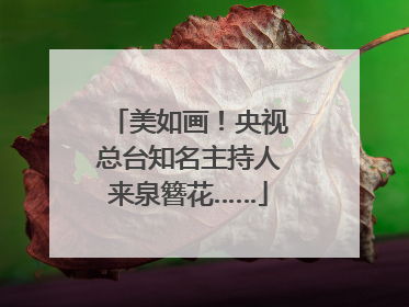 美如画！央视总台知名主持人来泉簪花……