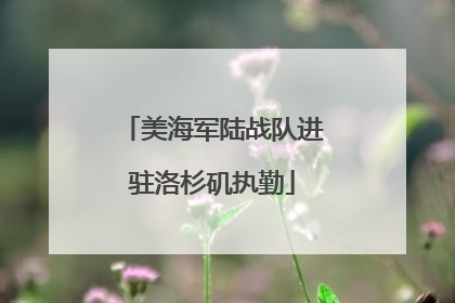 美海军陆战队进驻洛杉矶执勤