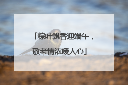 粽叶飘香迎端午，敬老情浓暖人心