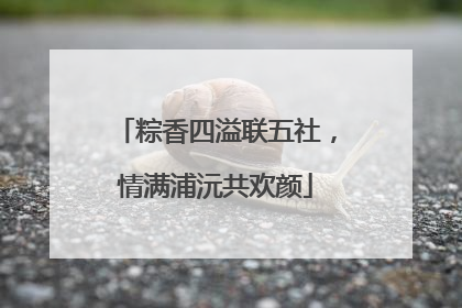 粽香四溢联五社，情满浦沅共欢颜