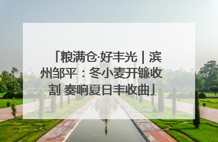 粮满仓·好丰光｜滨州邹平：冬小麦开镰收割 奏响夏日丰收曲