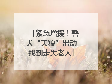 紧急增援！警犬“天狼”出动找到走失老人