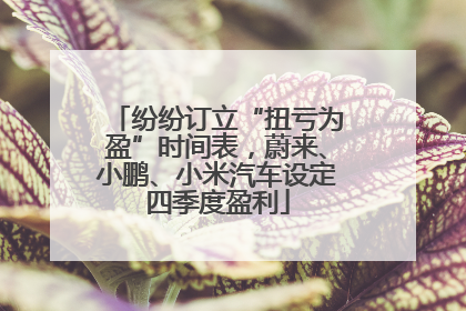纷纷订立“扭亏为盈”时间表，蔚来、小鹏、小米汽车设定四季度盈利