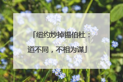纽约炒掉锡伯杜：道不同，不相为谋