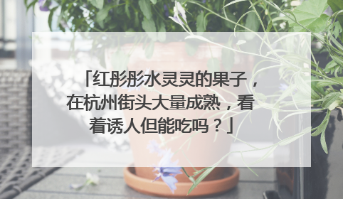 红彤彤水灵灵的果子，在杭州街头大量成熟，看着诱人但能吃吗？