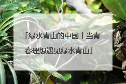 绿水青山的中国丨当青春理想遇见绿水青山