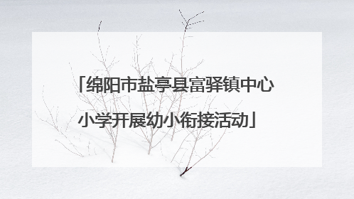 绵阳市盐亭县富驿镇中心小学开展幼小衔接活动