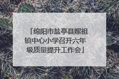 绵阳市盐亭县嫘祖镇中心小学召开六年级质量提升工作会