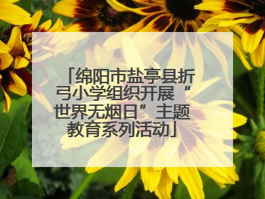 绵阳市盐亭县折弓小学组织开展“世界无烟日”主题教育系列活动