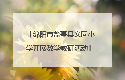 绵阳市盐亭县文同小学开展数学教研活动