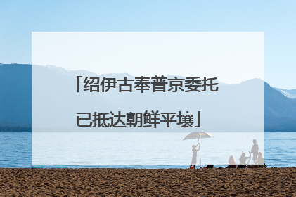 绍伊古奉普京委托已抵达朝鲜平壤