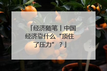 经济随笔丨中国经济靠什么“顶住了压力”？