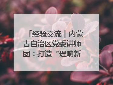 经验交流｜内蒙古自治区党委讲师团：打造“理响新征程”宣讲品牌