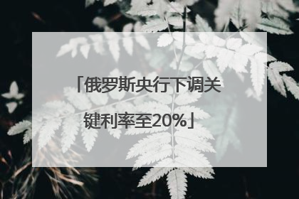 俄罗斯央行下调关键利率至20%