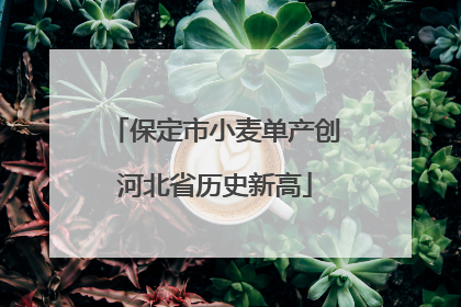 保定市小麦单产创河北省历史新高