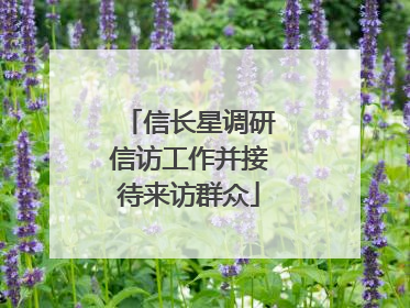 信长星调研信访工作并接待来访群众