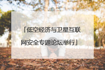 低空经济与卫星互联网安全专题论坛举行