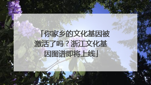 你家乡的文化基因被激活了吗?浙江文化基因图谱即将上线