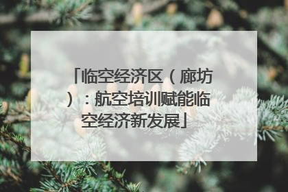 临空经济区（廊坊）：航空培训赋能临空经济新发展