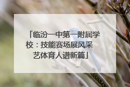 临汾一中第一附属学校：技能赛场展风采 艺体育人谱新篇