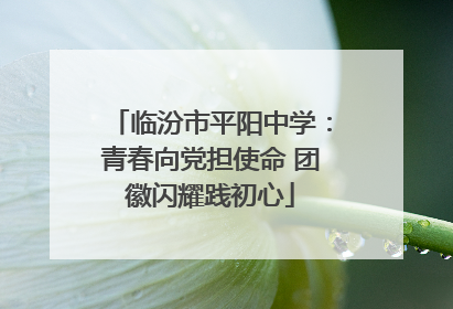 临汾市平阳中学：青春向党担使命 团徽闪耀践初心