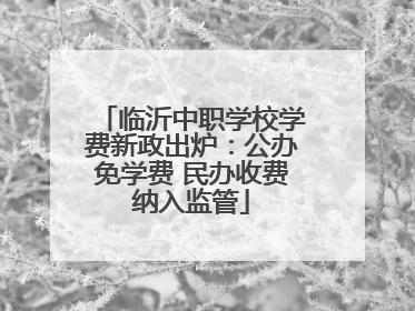 临沂中职学校学费新政出炉：公办免学费 民办收费纳入监管