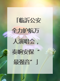 临沂公安全力护航万人演唱会，奏响安保“最强音”