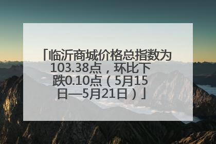 临沂商城价格总指数为103.38点，环比下跌0.10点（5月15日—5月21日）