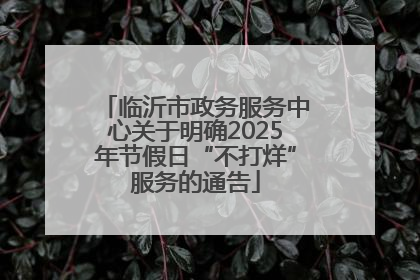 临沂市政务服务中心关于明确2025年节假日“不打烊”服务的通告