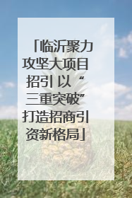 临沂聚力攻坚大项目招引 以“三重突破”打造招商引资新格局