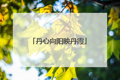 丹心向阳映丹霞