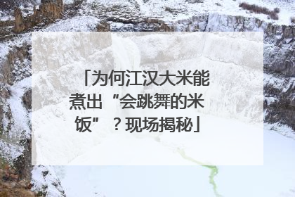 为何江汉大米能煮出“会跳舞的米饭”？现场揭秘