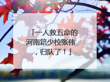 一人救五命的河南籍少校张伟，归队了！