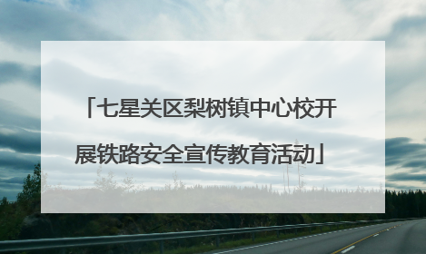 七星关区梨树镇中心校开展铁路安全宣传教育活动