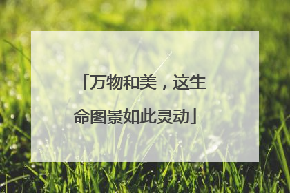 万物和美，这生命图景如此灵动