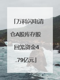 万科闪电清仓A股库存股 回笼资金4.79亿元