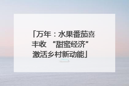 万年：水果番茄喜丰收 “甜蜜经济”激活乡村新动能