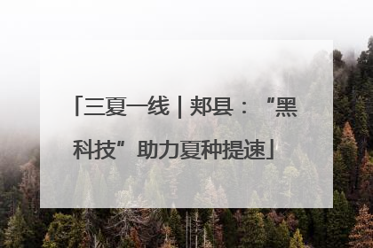 三夏一线｜郏县：“黑科技”助力夏种提速