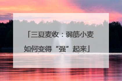 三夏麦收：弱筋小麦如何变得“强”起来