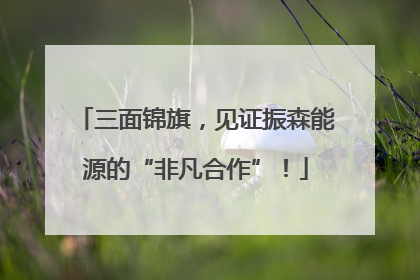 三面锦旗，见证振森能源的“非凡合作”！