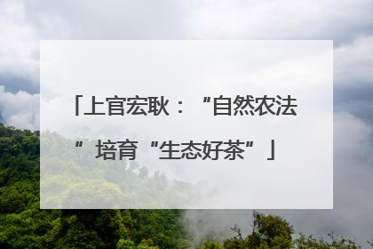 上官宏耿：“自然农法”培育“生态好茶”