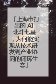 上海市打出的 AI 北斗七星，为何能实现从技术研发到产业协同的闭环生态