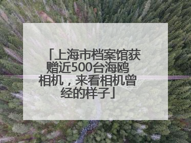 上海市档案馆获赠近500台海鸥相机，来看相机曾经的样子