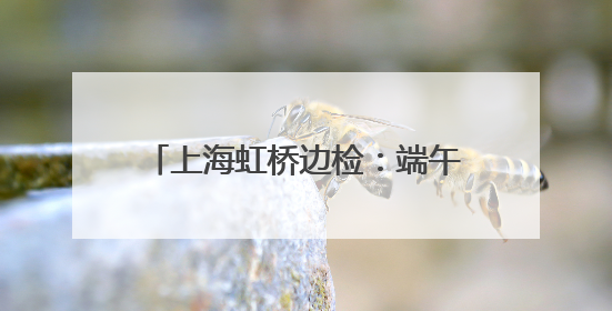 上海虹桥边检：端午“遇上”六一，携儿童家庭出境游火热
