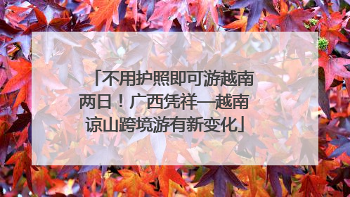 不用护照即可游越南两日！广西凭祥—越南谅山跨境游有新变化