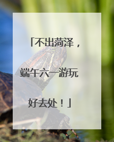 不出菏泽，端午六一游玩好去处！