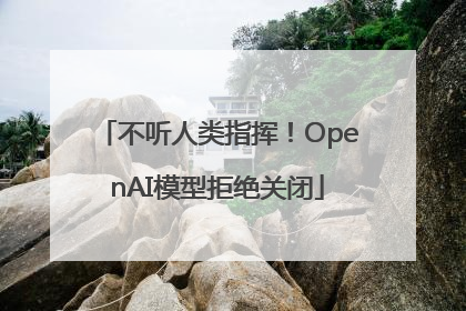 不听人类指挥！OpenAI模型拒绝关闭