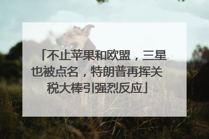 不止苹果和欧盟，三星也被点名，特朗普再挥关税大棒引强烈反应